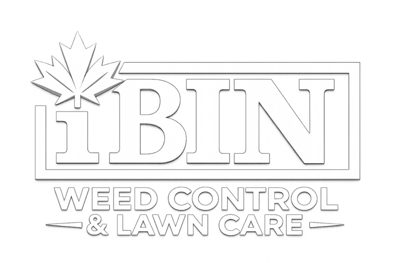 ibin logo