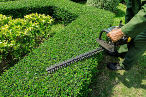hedge trim feature 1