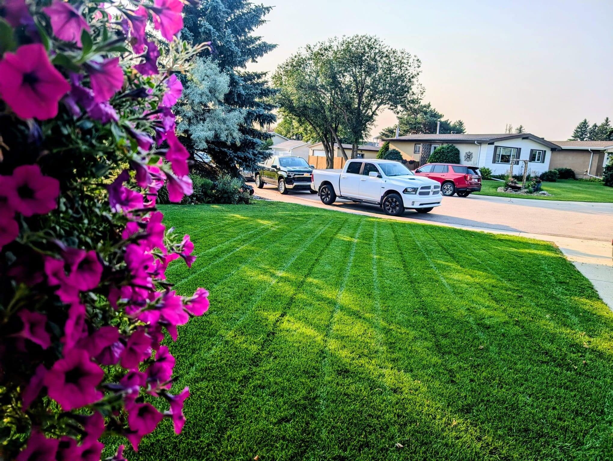 Home lawn mowing in edmonton