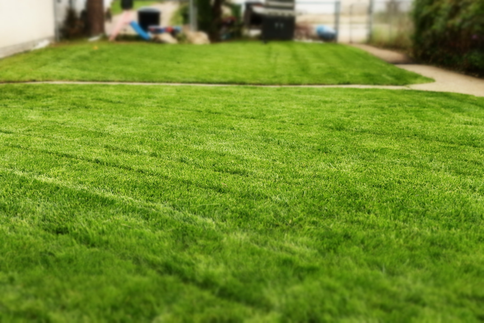 iBIN, Lawn mowing