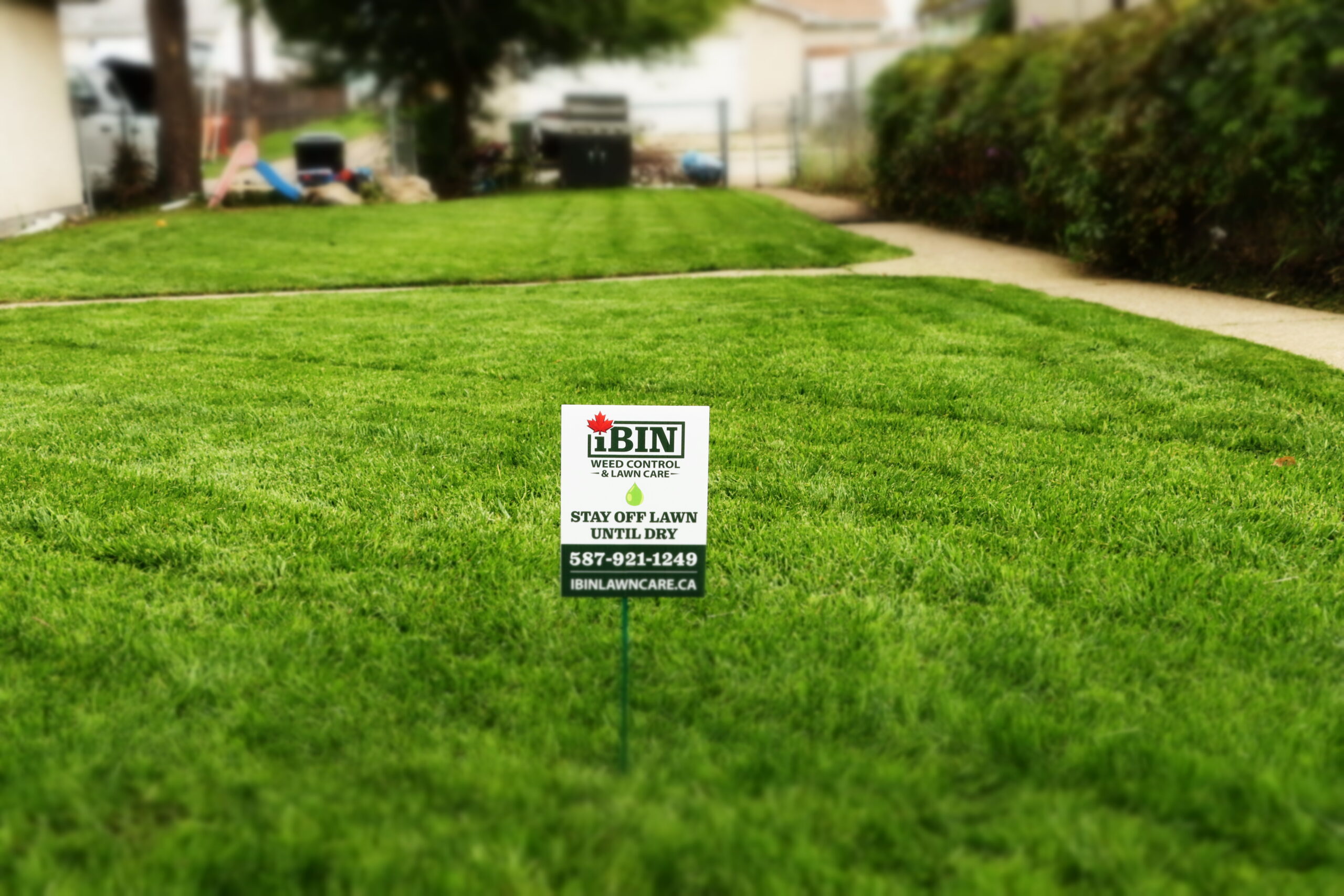 Weed control, iBIN