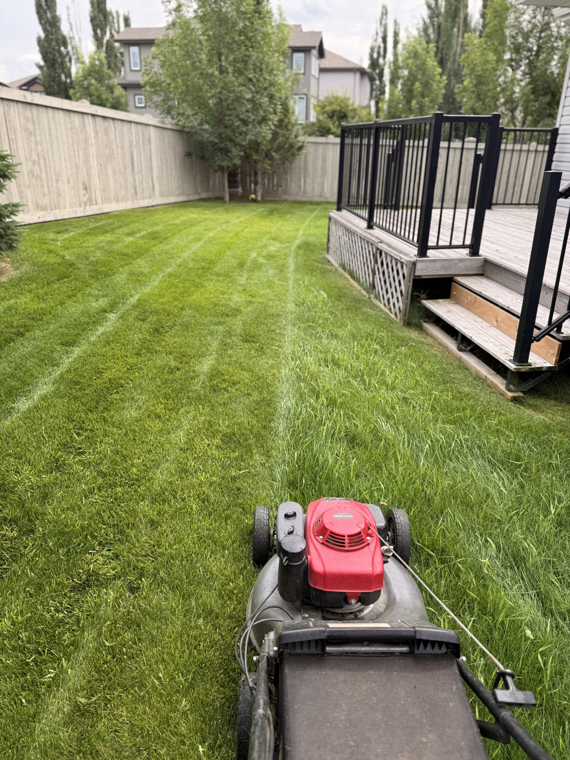 Lawn mowing, iBIN