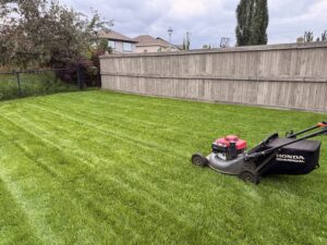 Lawn mowing in edmonton