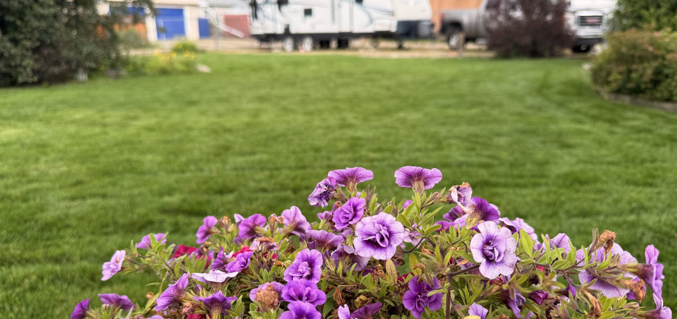 Lawn mowing in Spruce grove